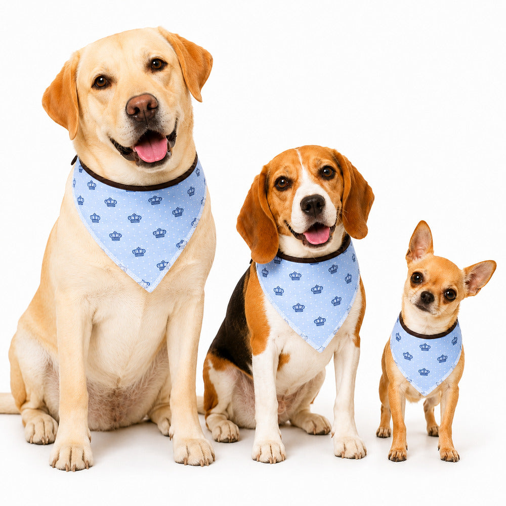 Bandana Pet Estampada TAM P Cor:Realeza Azul